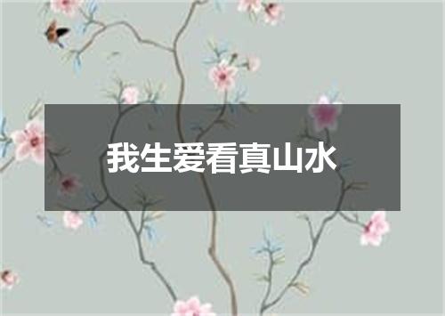 我生爱看真山水