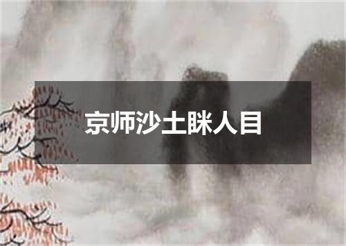 京师沙土眯人目