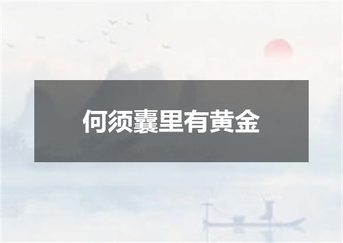 何须囊里有黄金