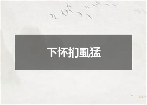 下怀扪虱猛