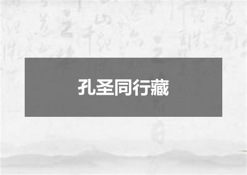 孔圣同行藏