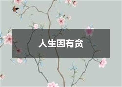 人生因有贪