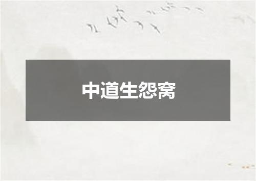 中道生怨窝