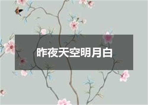 昨夜天空明月白
