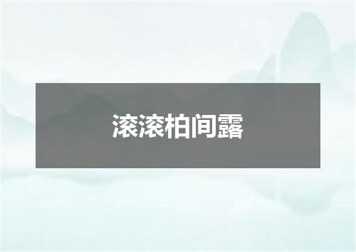 滚滚柏间露