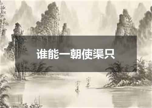 谁能一朝使渠只
