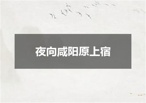 夜向咸阳原上宿
