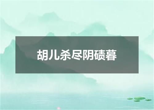 胡儿杀尽阴碛暮