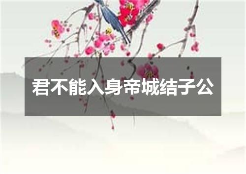 君不能入身帝城结子公