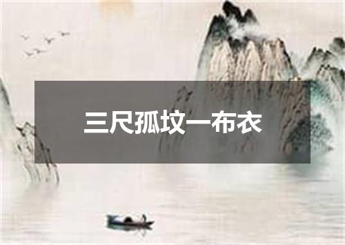 三尺孤坟一布衣