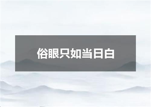 俗眼只如当日白