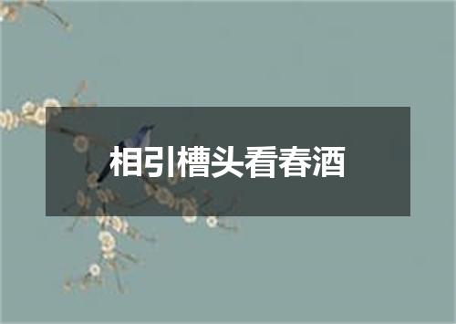 相引槽头看春酒