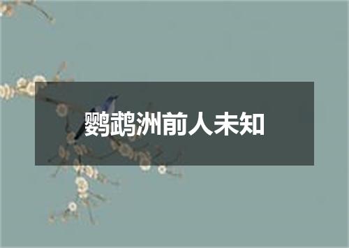 鹦鹉洲前人未知