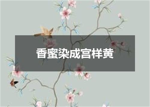 香蜜染成宫样黄