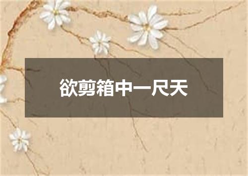 欲剪箱中一尺天
