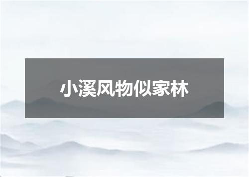 小溪风物似家林