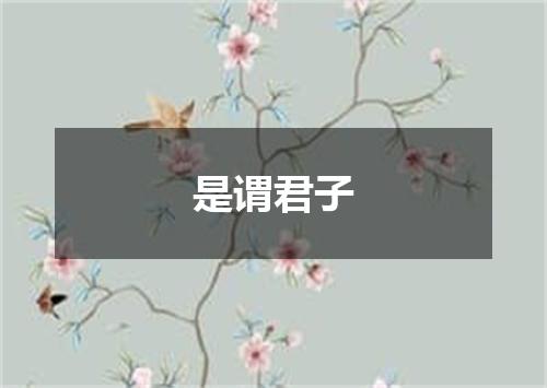 是谓君子
