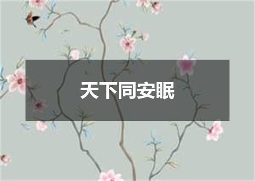 天下同安眠