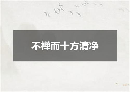 不禅而十方清净