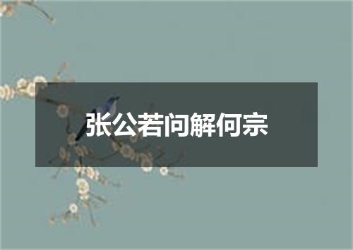 张公若问解何宗