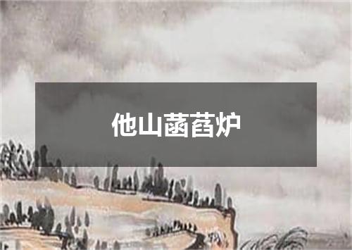 他山菡萏炉