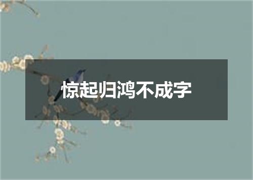 惊起归鸿不成字