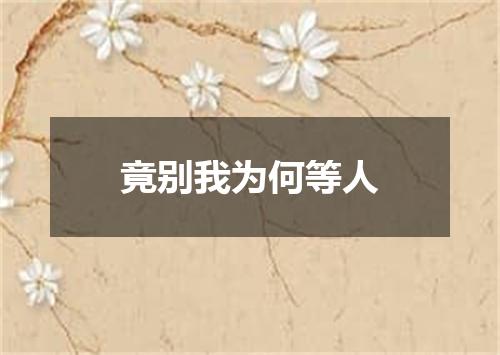 竟别我为何等人