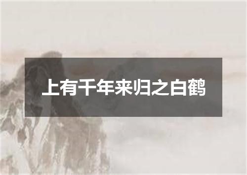 上有千年来归之白鹤