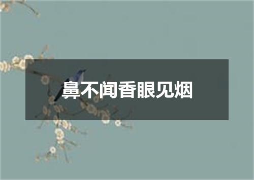 鼻不闻香眼见烟
