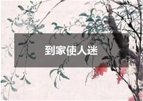 到家使人迷