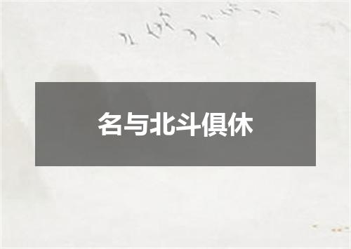 名与北斗俱休