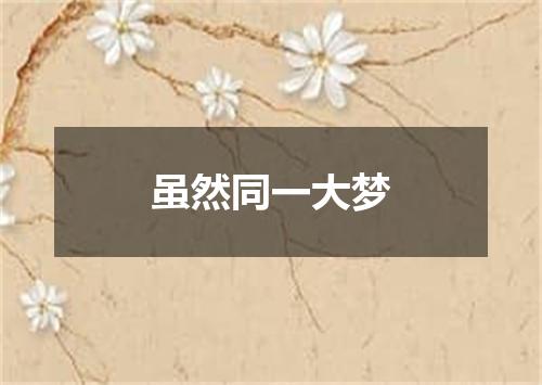 虽然同一大梦