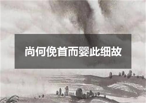 尚何俛首而婴此细故