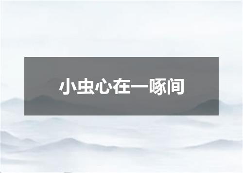 小虫心在一啄间