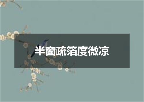 半窗疏箔度微凉