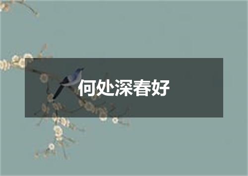 何处深春好