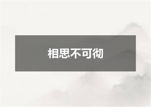 相思不可彻