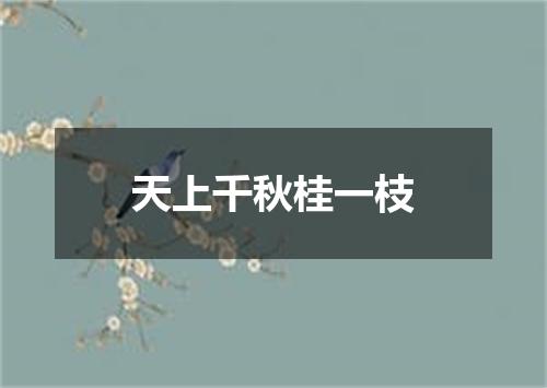 天上千秋桂一枝