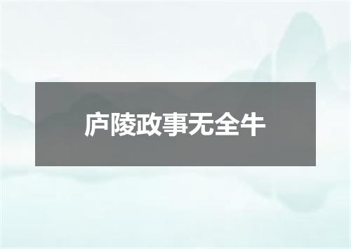庐陵政事无全牛