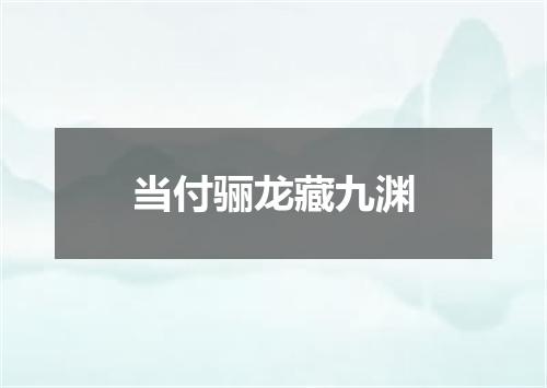 当付骊龙藏九渊