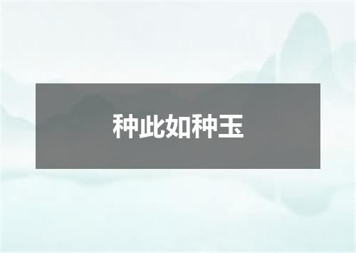 种此如种玉