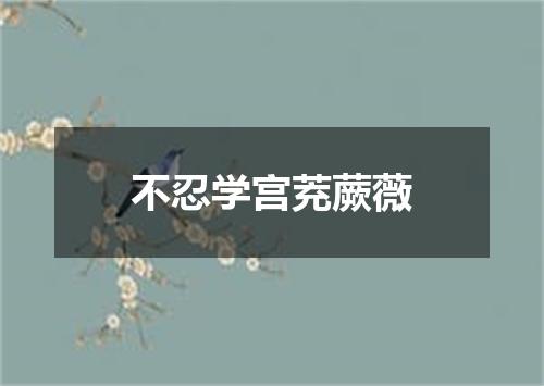 不忍学宫茺蕨薇