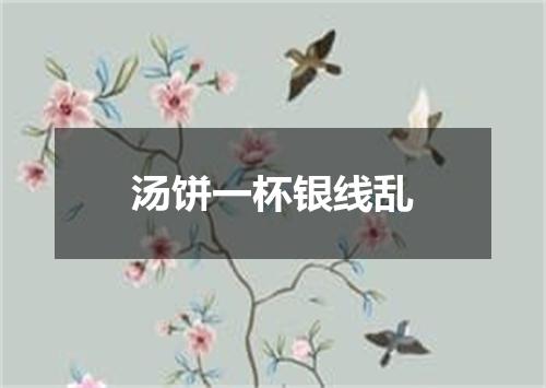 汤饼一杯银线乱
