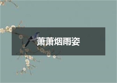 萧萧烟雨姿