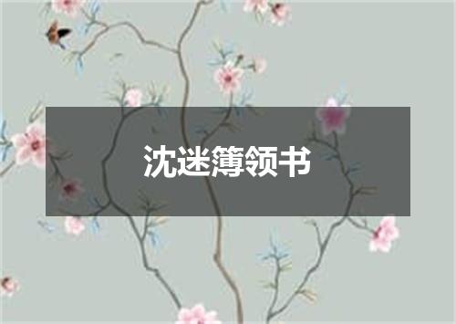 沈迷簿领书