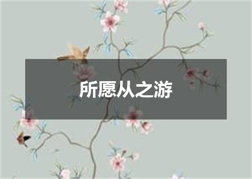 所愿从之游