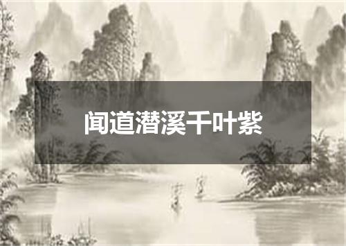 闻道潜溪千叶紫
