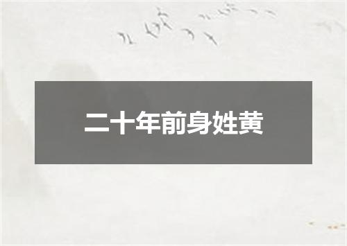 二十年前身姓黄