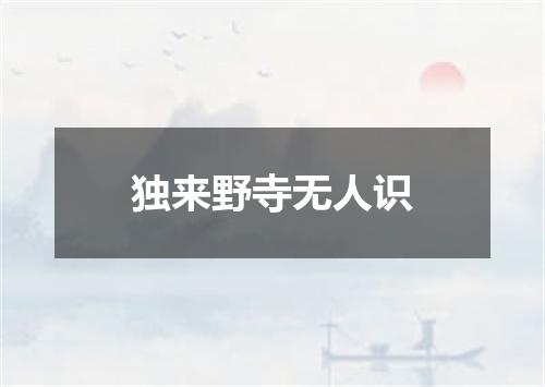 独来野寺无人识