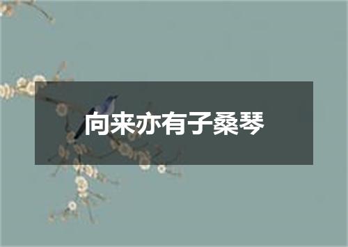 向来亦有子桑琴